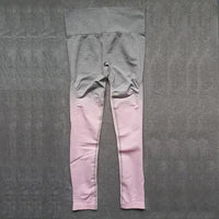 41880698224699|41880698290235|41880698323003