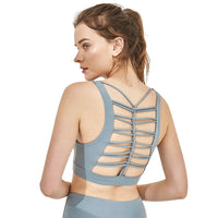 41880701632571|41880701698107|41880701763643