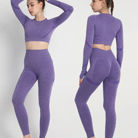 Seamless Long Sleeve Compression Workout Top - High-Stretch Performance Shirt